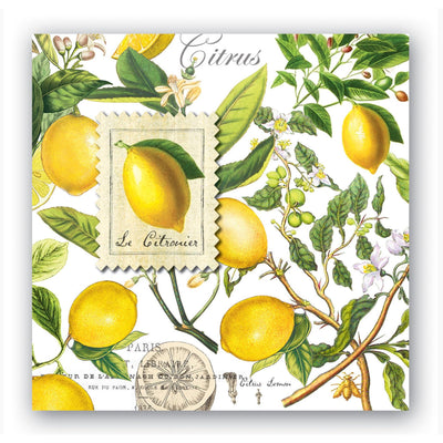 Luncheon Napkins - Lemon Basil-20 Napkins-Chefs Bazaar